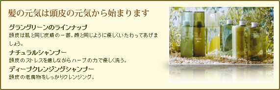 髪の元気は頭皮の元気から始まります
グラングリーンのラインナップ
頭皮は肌と同じ皮膚の一部。顔と同じように優しくいたわってあげましょう。
ナチュラルシャンプー
頭皮のストレスを癒しながらハーブの力で優しく洗う。
ディープクレンジングシャンプー
頭皮の老廃物をしっかりクレンジング。